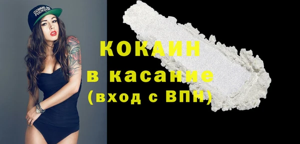 стафф Корсаков