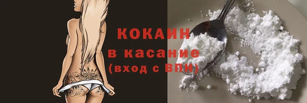 стафф Корсаков