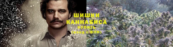 дживик Козловка