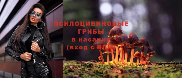 мяу мяу мука Коряжма