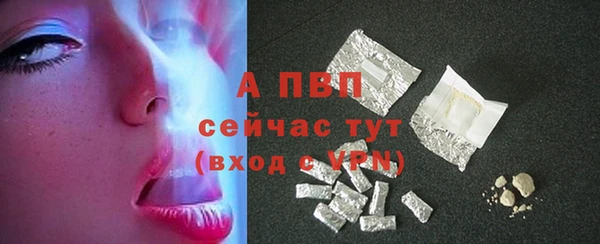 мяу мяу мука Коряжма